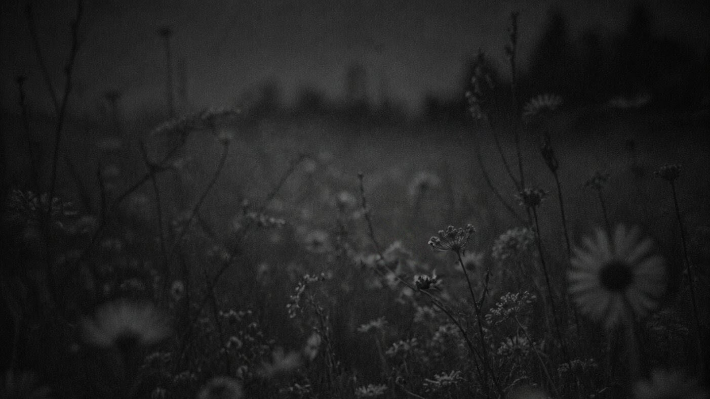 pmb playlist 003 - Whimsical